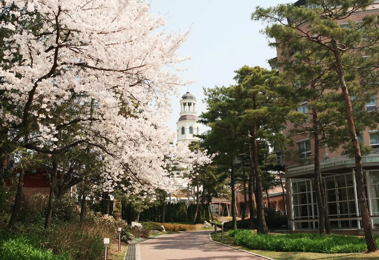 Mayfield Hotel Seoul South Korea